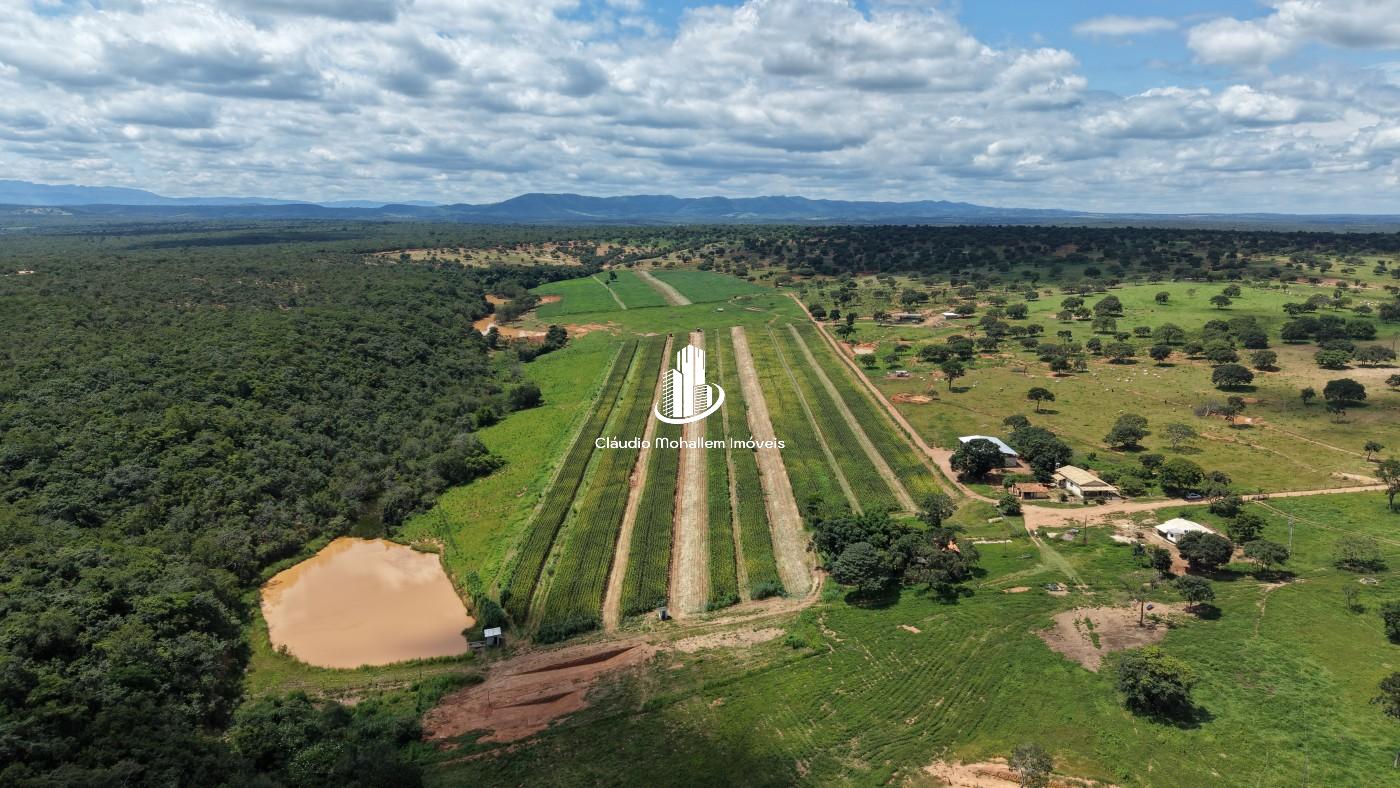 Chácara, 2 hectares - Foto 2