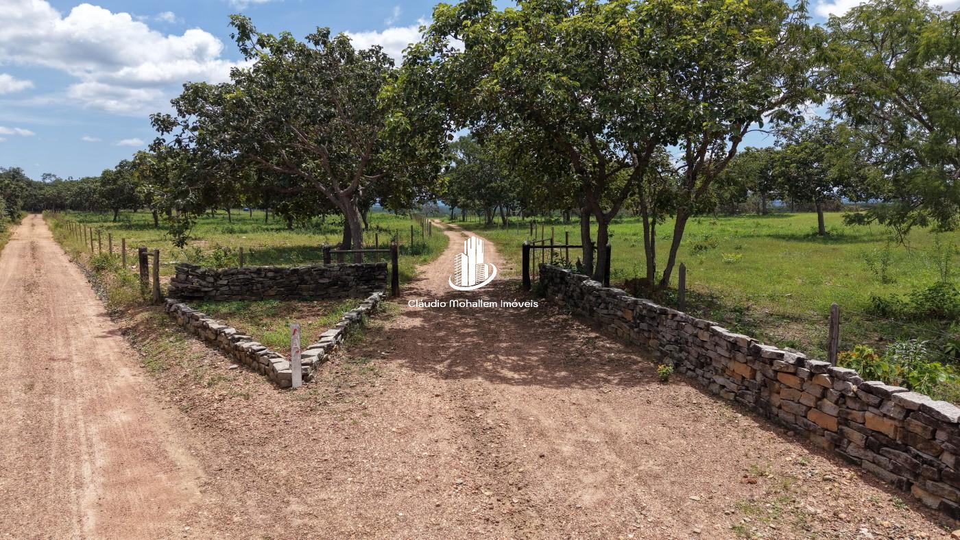 Chácara, 2 hectares - Foto 6
