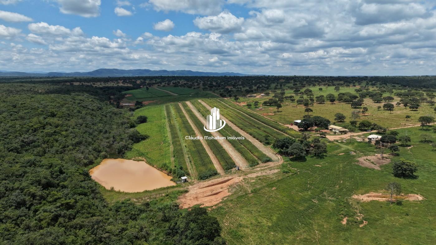Chácara, 2 hectares - Foto 13